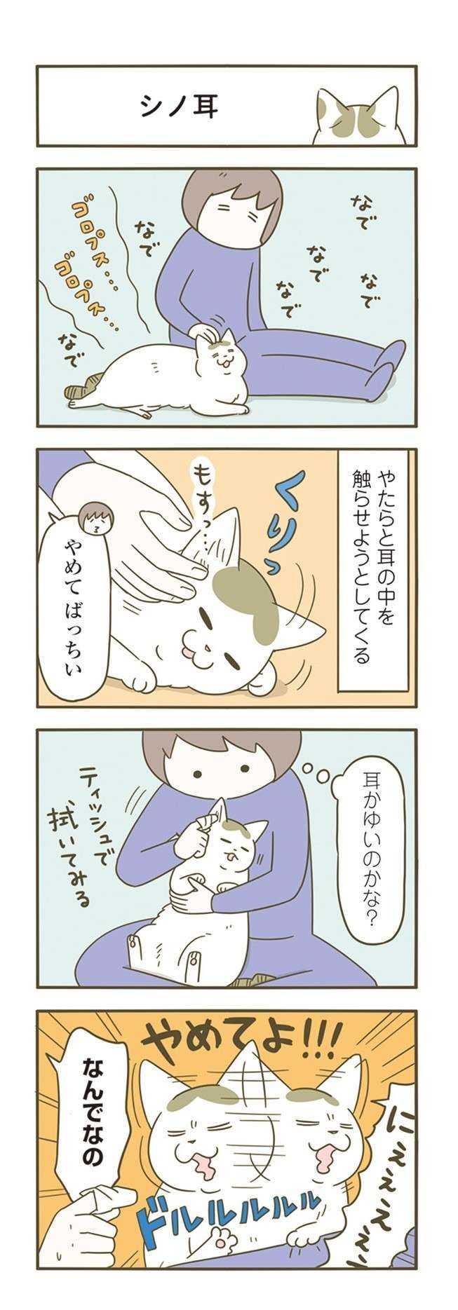 えっ、なでなでは欲してない？ 「猫の正解」が難しすぎる... ／うちの猫がまた変なことしてる。7（3）