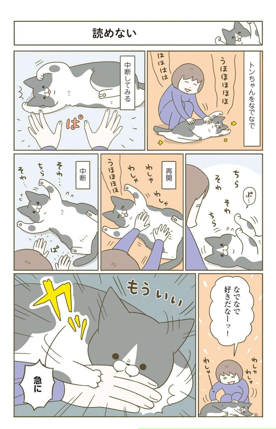 えっ、なでなでは欲してない？ 「猫の正解」が難しすぎる... ／うちの猫がまた変なことしてる。7（5）