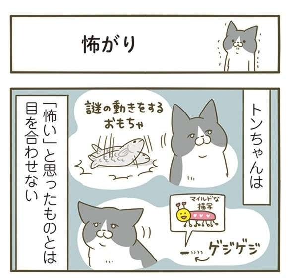 「怖がりな猫」が愛しい...。飼い主が「絶対に！守る！」と思った瞬間／うちの猫がまた変なことしてる。7（2）