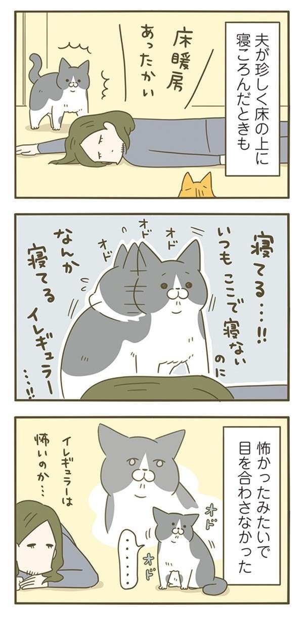 「怖がりな猫」が愛しい...。飼い主が「絶対に！守る！」と思った瞬間／うちの猫がまた変なことしてる。7（3）