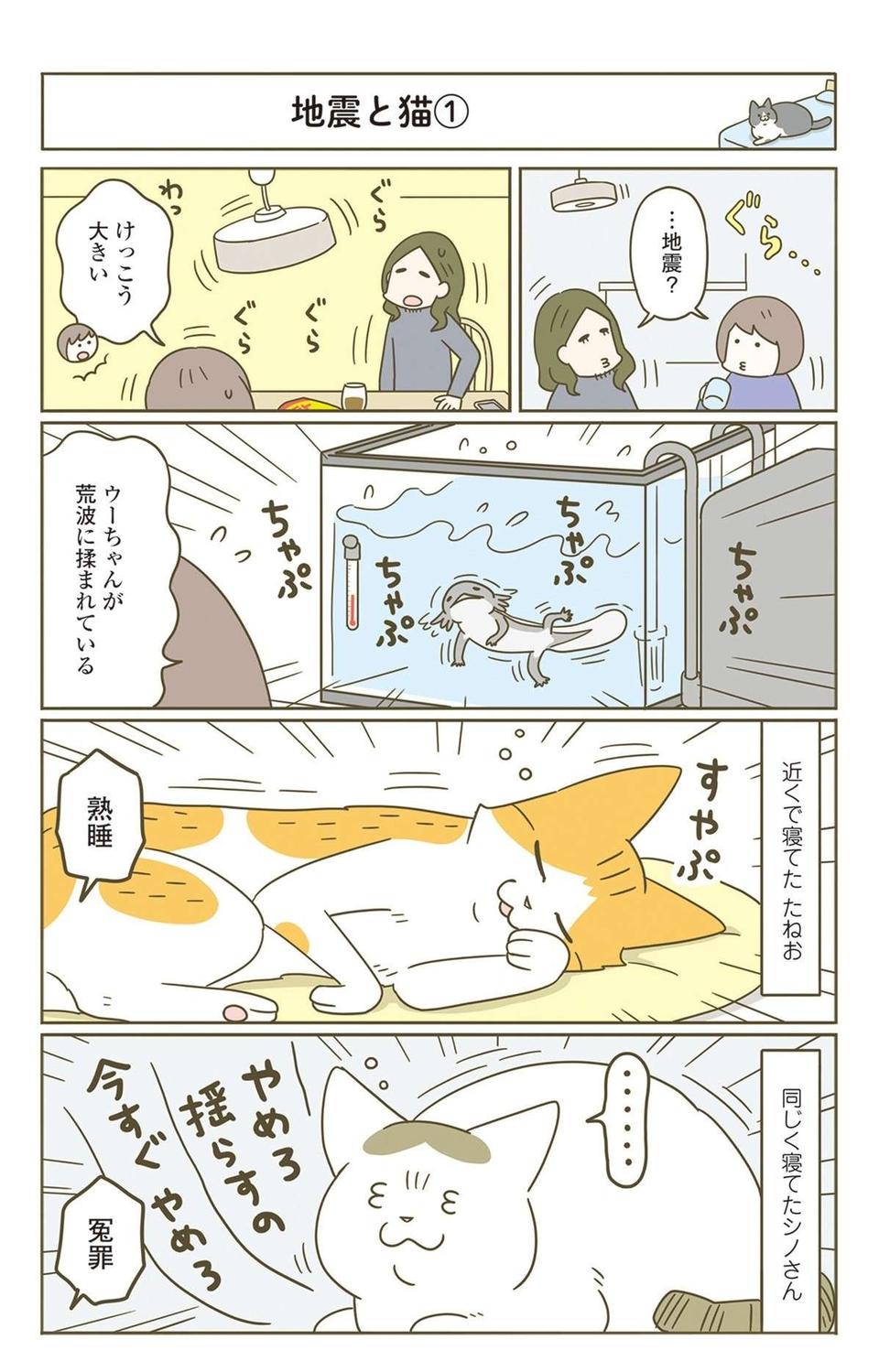 「怖がりな猫」が愛しい...。飼い主が「絶対に！守る！」と思った瞬間／うちの猫がまた変なことしてる。7（5）