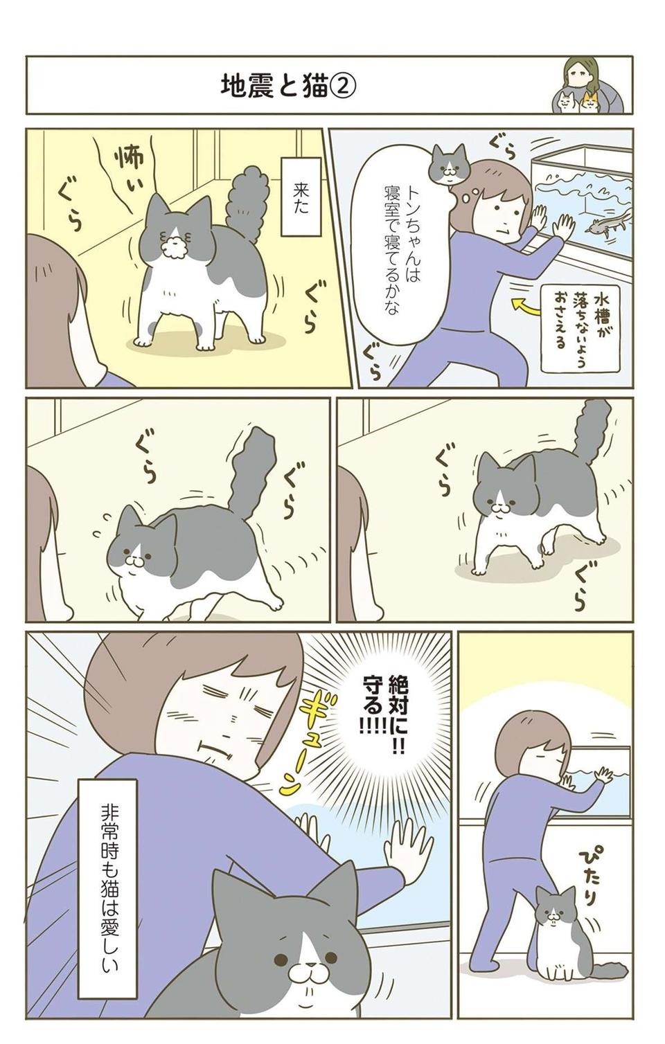 「怖がりな猫」が愛しい...。飼い主が「絶対に！守る！」と思った瞬間／うちの猫がまた変なことしてる。7（6）
