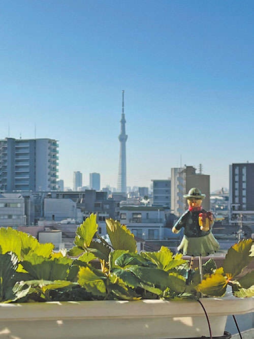 ぽっこりおなかに逆効果？ やりがちな「間違い行動」5選【管理栄養士・健康運動指導士が指南】（4）