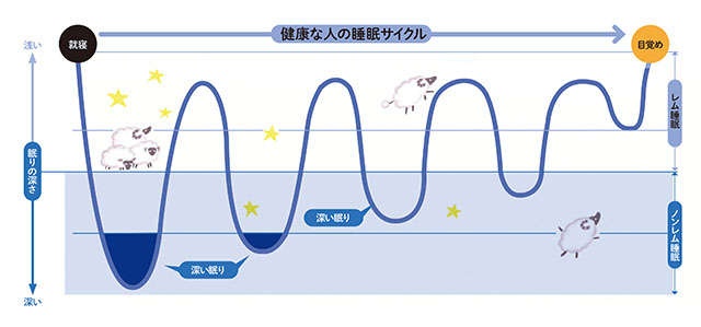 アルツハイマー型認知症の予防に！脳の掃除につながる「睡眠」【脳神経外科医の奥村歩先生が解説】（3）
