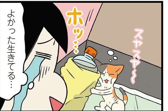 ある日、やせ細った小さな子猫と遭遇！ 悩みつつ保護した結果、帰路の車内で...／うちう猫と柴犬（1）