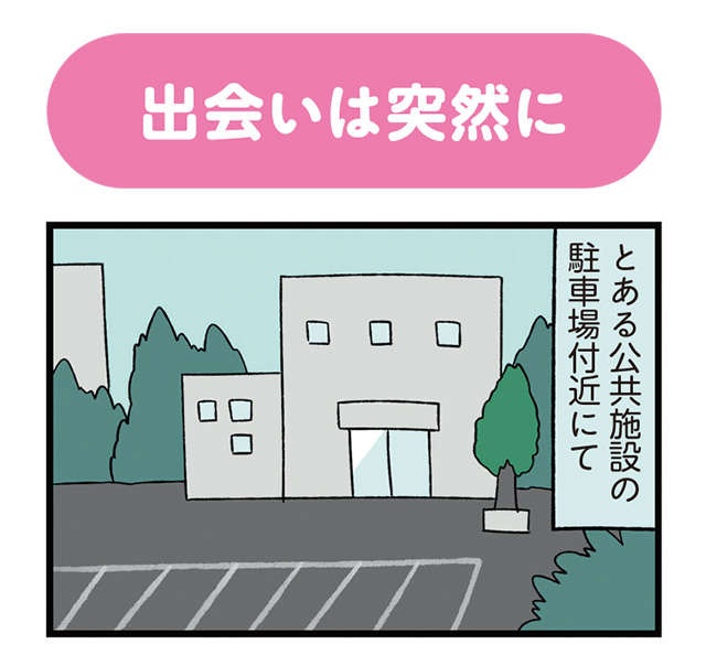 ある日、やせ細った小さな子猫と遭遇！ 悩みつつ保護した結果、帰路の車内で...／うちう猫と柴犬（2）