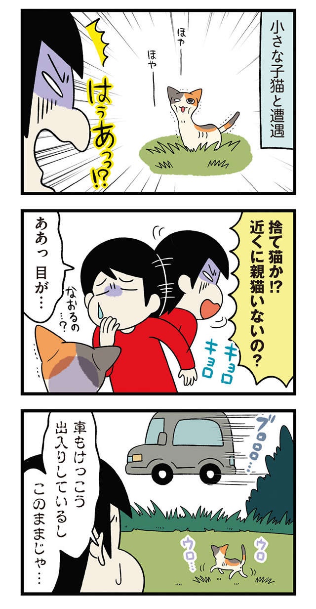 ある日、やせ細った小さな子猫と遭遇！ 悩みつつ保護した結果、帰路の車内で...／うちう猫と柴犬（3）