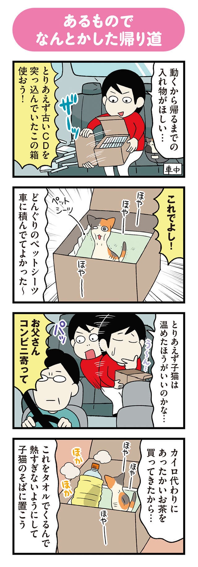 ある日、やせ細った小さな子猫と遭遇！ 悩みつつ保護した結果、帰路の車内で...／うちう猫と柴犬（5）