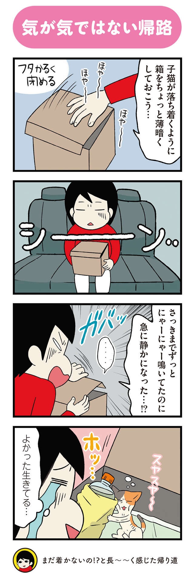 ある日、やせ細った小さな子猫と遭遇！ 悩みつつ保護した結果、帰路の車内で...／うちう猫と柴犬（6）