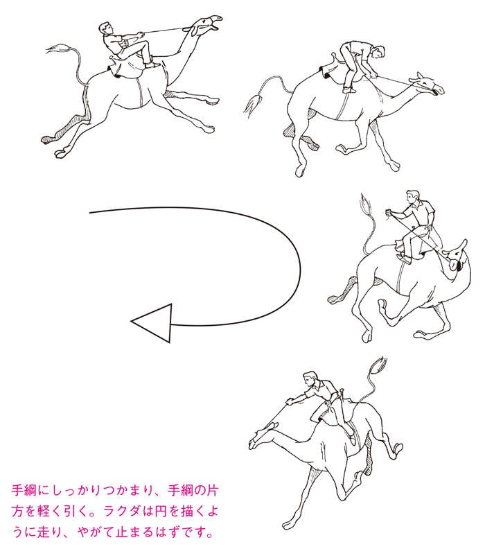 【不測の事態に備える！】突然、乗っていたラクダが暴走。手綱につかまる？ いっそ飛び降りる？（3）
