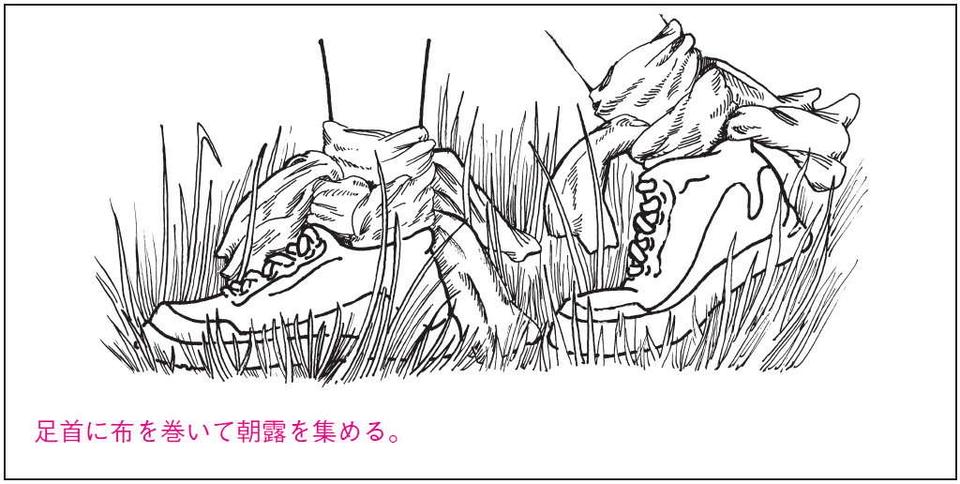 【不測の事態に備える！】無人島に流れ着き、飲み水確保の方法6選。布を足首に...ってどういうこと？（3）