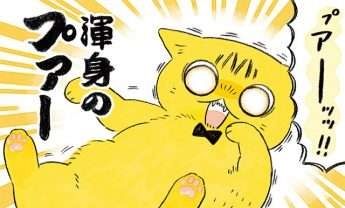愛猫を「赤ちゃん扱い」してしまう...その3大「バブポイント」／茶トラのやっちゃんとちーちゃん（1）
