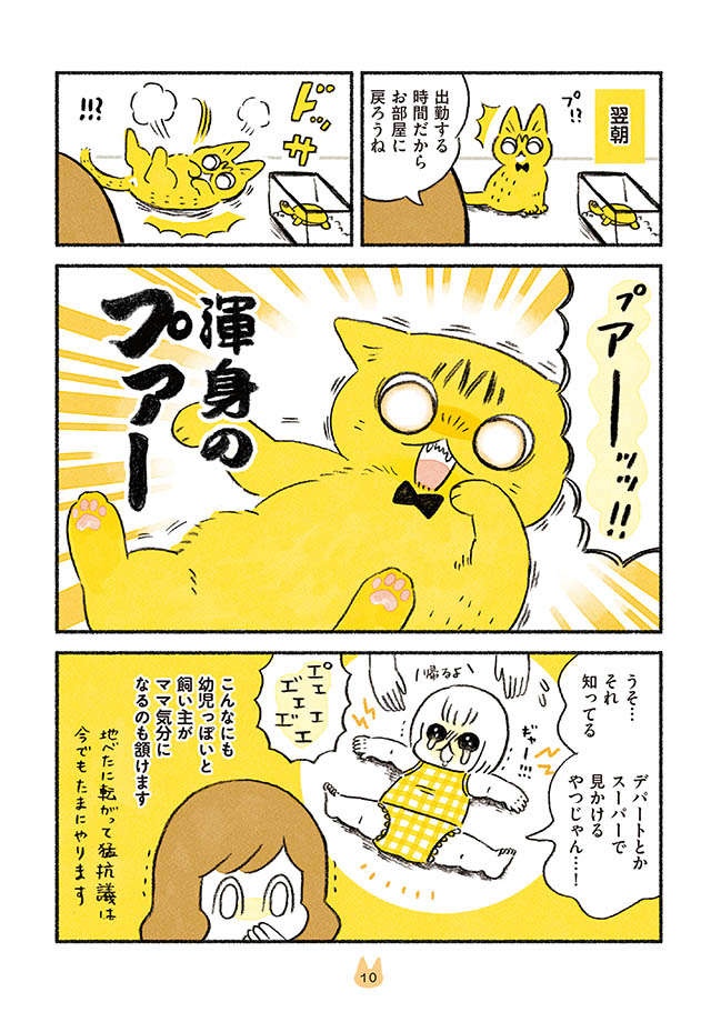 愛猫を「赤ちゃん扱い」してしまう...その3大「バブポイント」／茶トラのやっちゃんとちーちゃん（4）