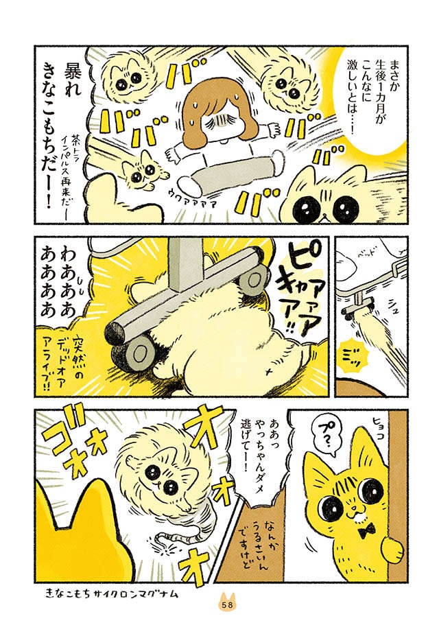 ピキャアア...お迎えした子猫が「覚醒」。大暴れする姿を見て先住猫は／茶トラのやっちゃんとちーちゃん（3）