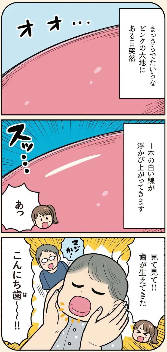 【赤ちゃんの育児】ピンクの歯茎に1本の白い線が浮かび上がってきたら...いよいよ！／赤ちゃん大図鑑（4）