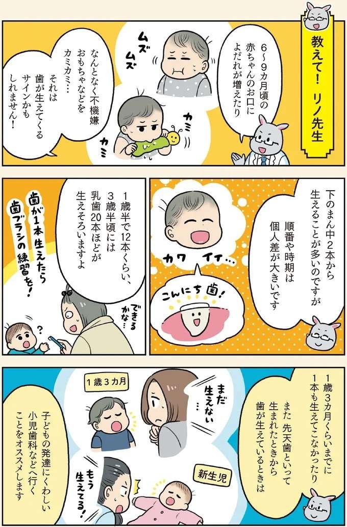 【赤ちゃんの育児】ピンクの歯茎に1本の白い線が浮かび上がってきたら...いよいよ！／赤ちゃん大図鑑（5）