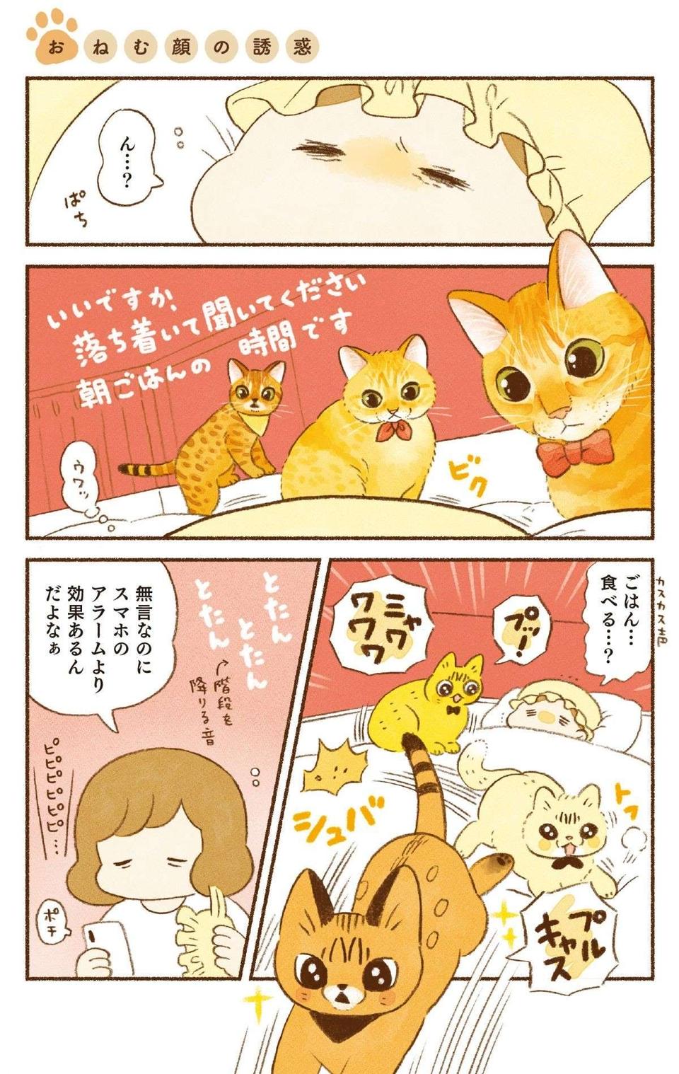 朝ごはんを求める愛猫たちの「無言の圧」。スマホのアラームよりも効果的？／しまねこ3姉妹と暮らしています（2）