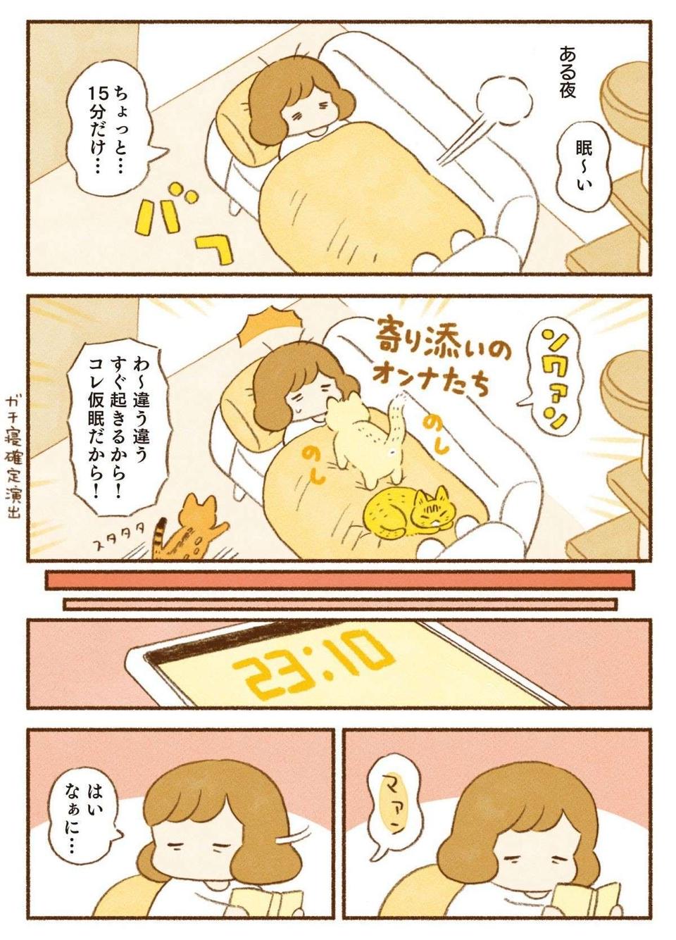 朝ごはんを求める愛猫たちの「無言の圧」。スマホのアラームよりも効果的？／しまねこ3姉妹と暮らしています（3）