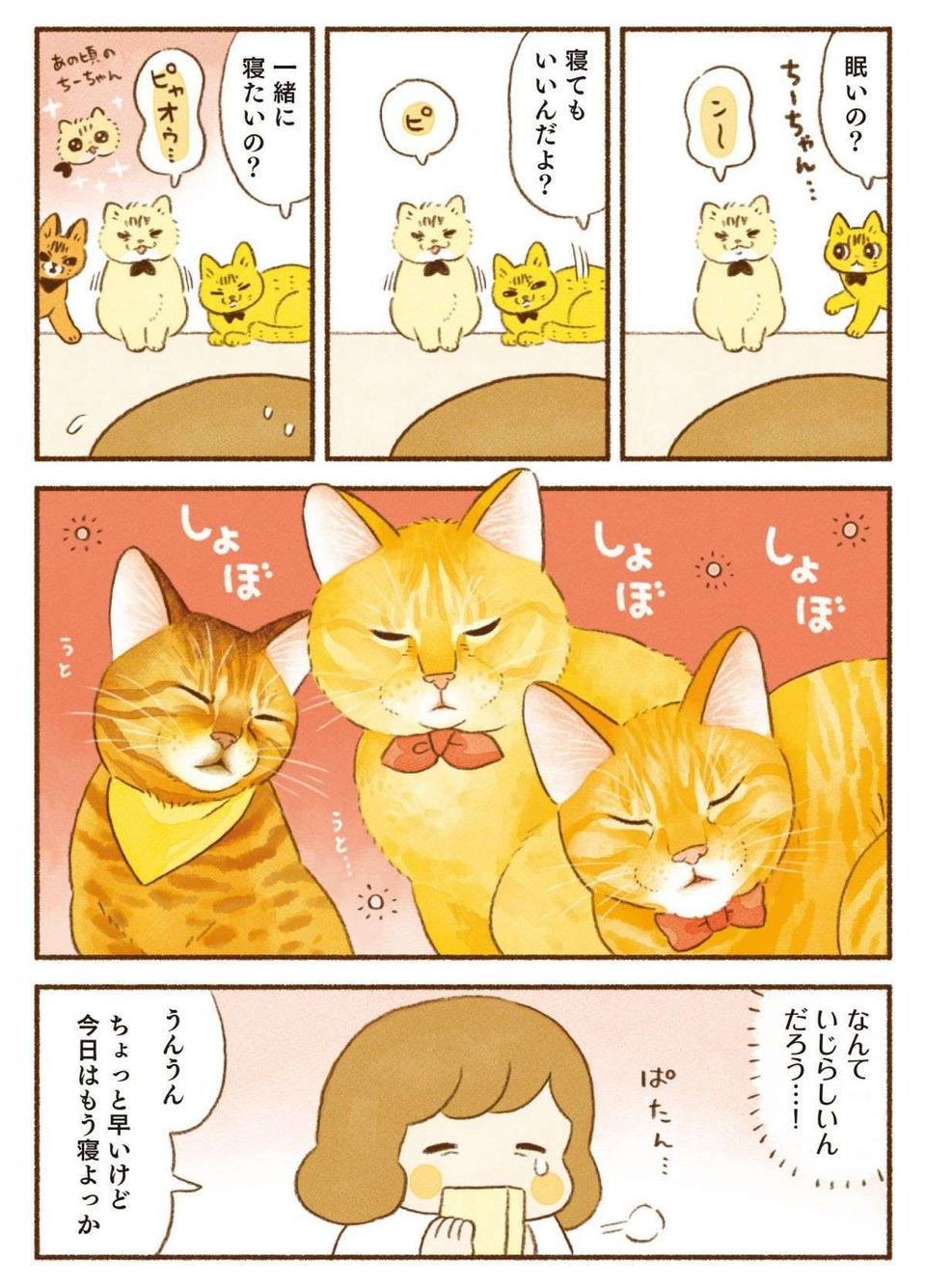 朝ごはんを求める愛猫たちの「無言の圧」。スマホのアラームよりも効果的？／しまねこ3姉妹と暮らしています（4）