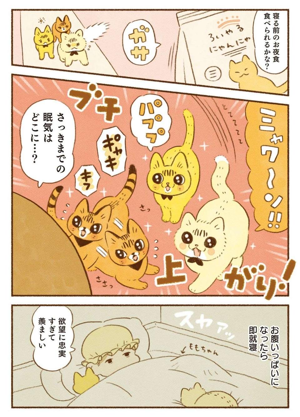 朝ごはんを求める愛猫たちの「無言の圧」。スマホのアラームよりも効果的？／しまねこ3姉妹と暮らしています（5）