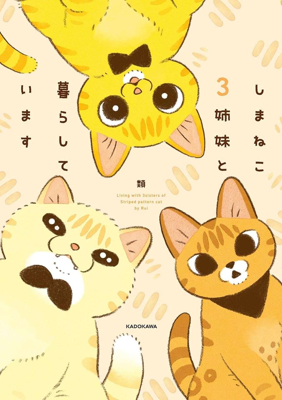 朝ごはんを求める愛猫たちの「無言の圧」。スマホのアラームよりも効果的？／しまねこ3姉妹と暮らしています（6）