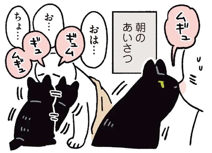愛猫に「朝起こして」と伝えると、飼い主が起きるまでひたすら...／黒猫ろんと暮らしたら（1）