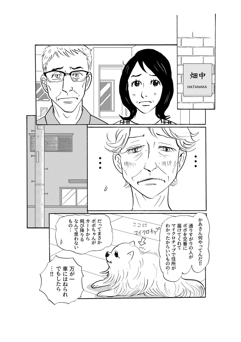 「騙されてなんかいません」82歳の義母の恋は不穏な雰囲気に...！／いつも犬が居たー女三代恋物語ー（6）（2）