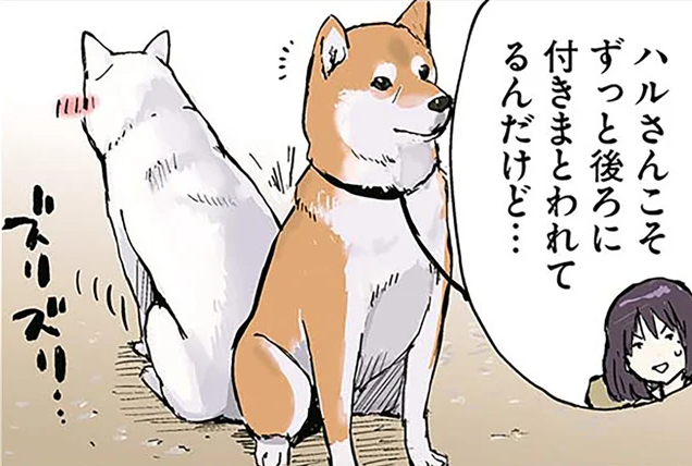 柴犬は一番のツンデレ？ 終末世界を旅する女子高生と理屈っぽい柴犬／世界の終わりに柴犬と（1）