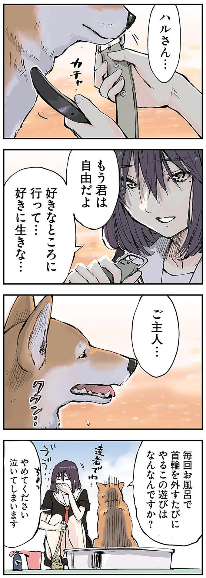 柴犬は一番のツンデレ？ 終末世界を旅する女子高生と理屈っぽい柴犬／世界の終わりに柴犬と（2）