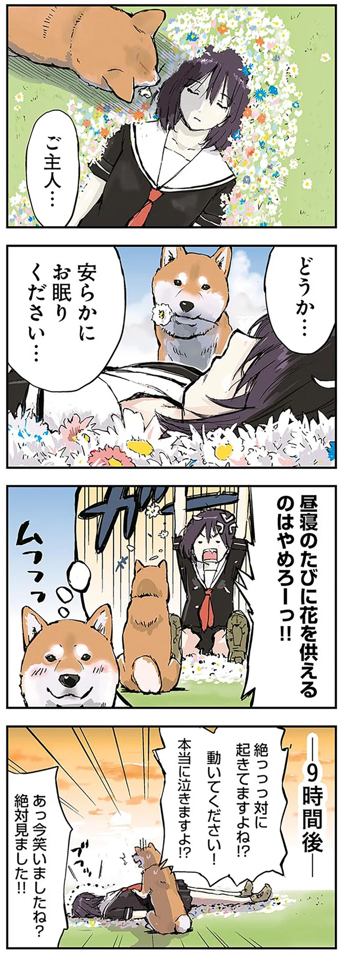 柴犬は一番のツンデレ？ 終末世界を旅する女子高生と理屈っぽい柴犬／世界の終わりに柴犬と（3）