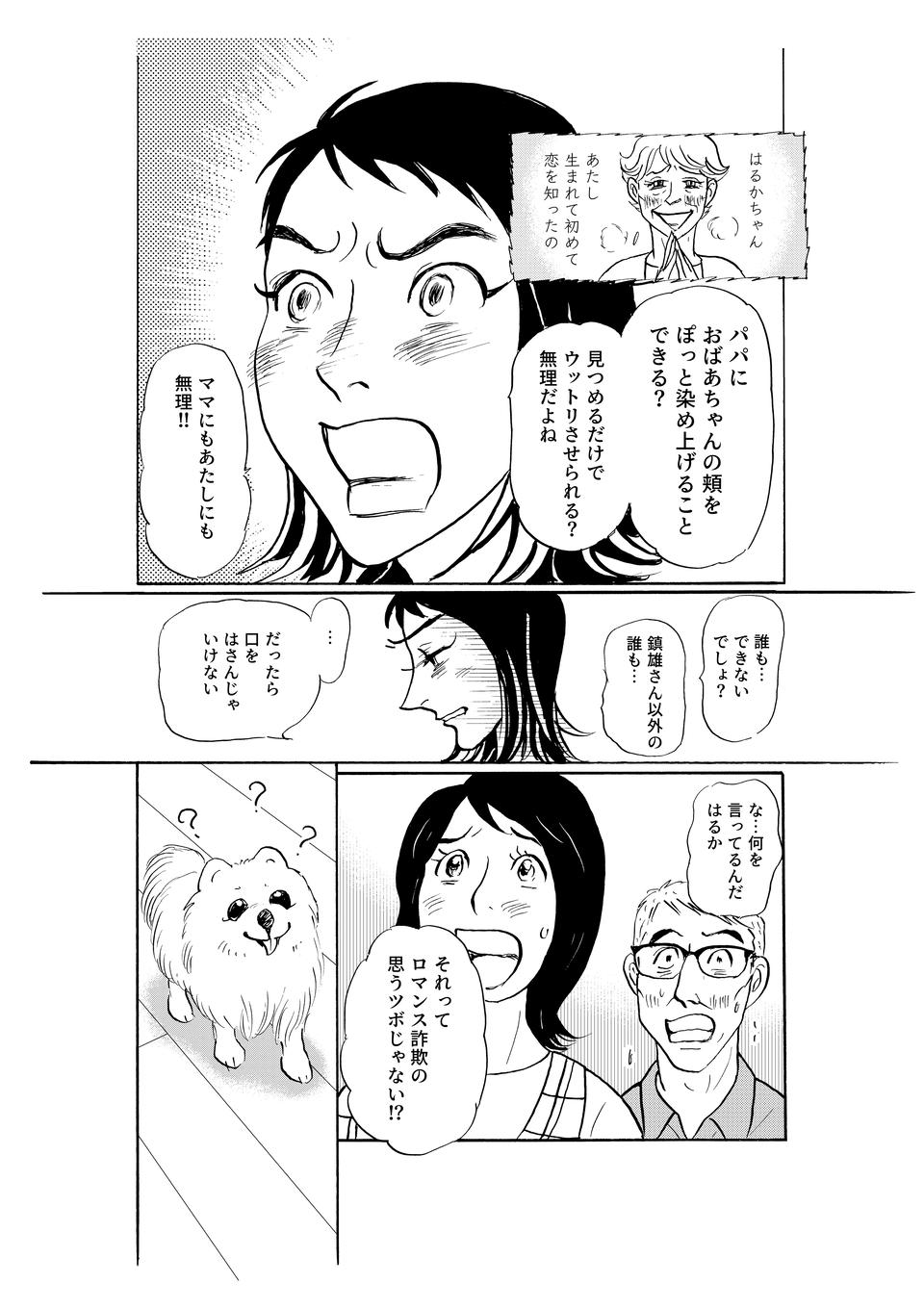 「おばあちゃんを止められないよ」恋する82歳の祖母に、孫の反応は／いつも犬が居たー女三代恋物語ー（7）（5）