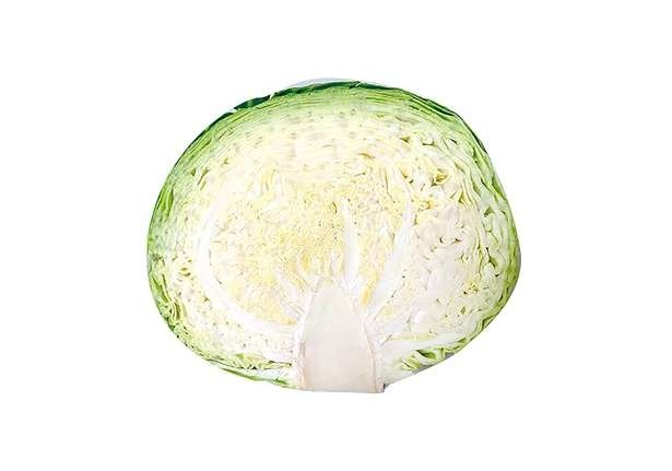【農家直伝】キャベツをもっとおいしく！一年を通して味わうための選び方と保存法（2）