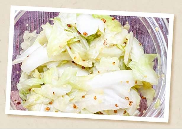 【農家直伝】キャベツをもっとおいしく！一年を通して味わうための選び方と保存法（4）