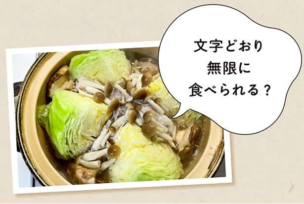 【農家直伝】キャベツをもっとおいしく！一年を通して味わうための選び方と保存法（5）