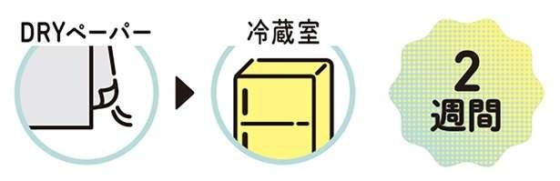 【農家直伝】キャベツをもっとおいしく！一年を通して味わうための選び方と保存法（6）