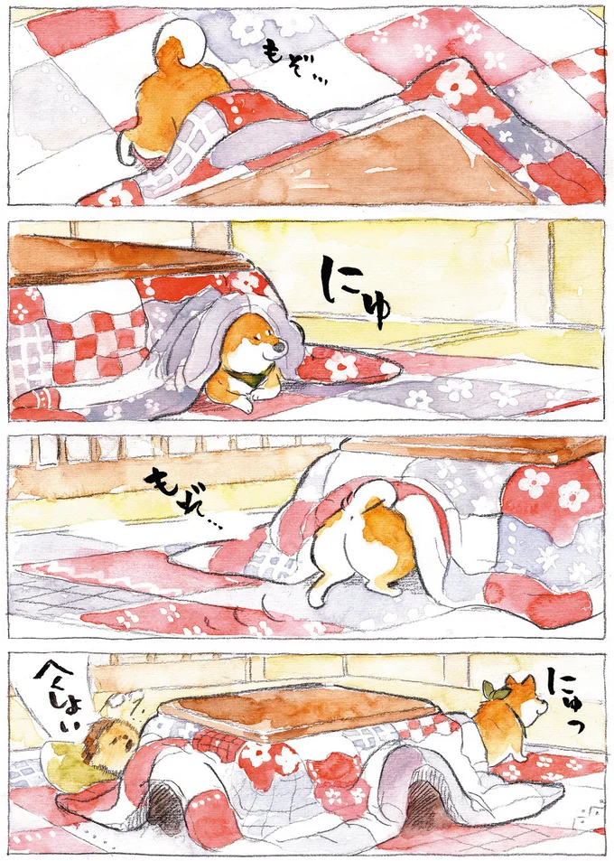 『柴犬ぽんちゃん、今日もわが道をゆく』（3）