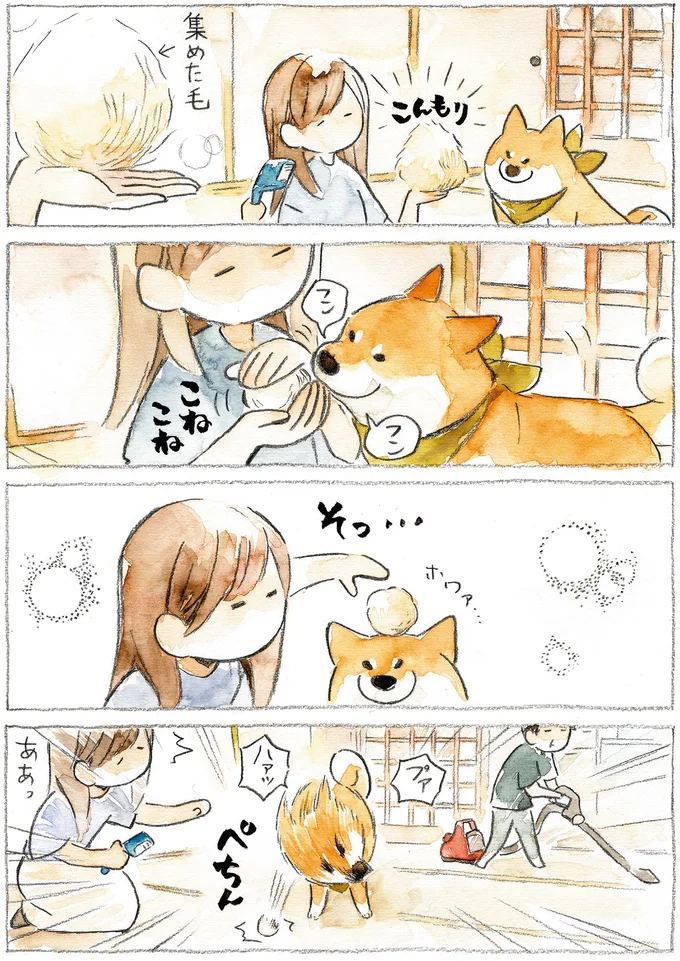 『柴犬ぽんちゃん、今日もわが道をゆく』（6）