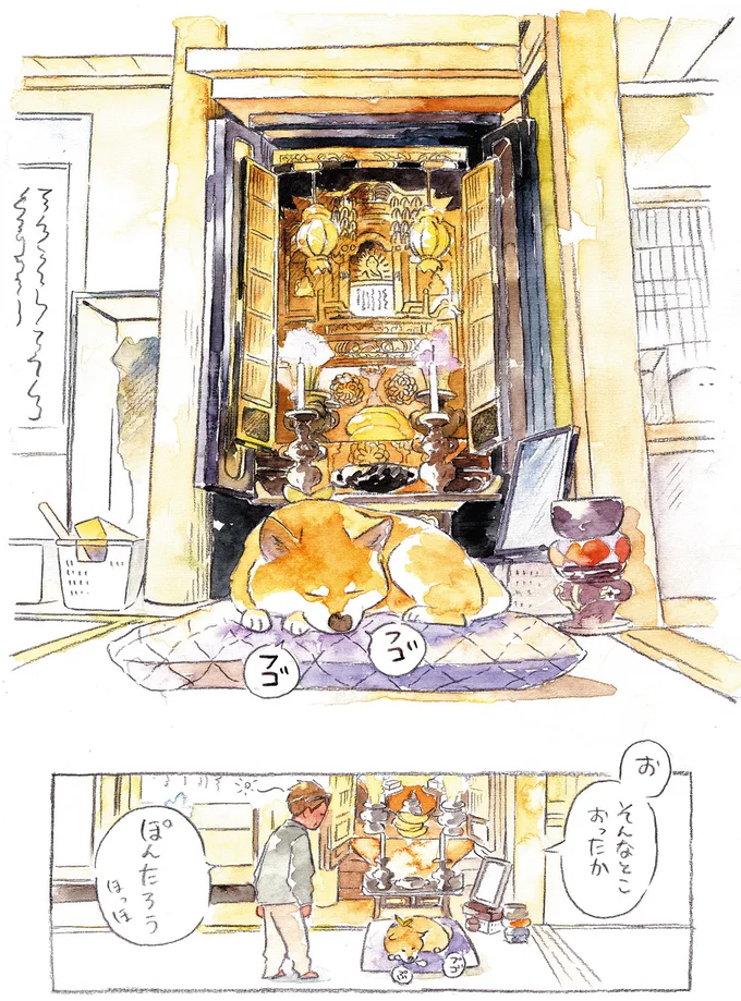 『柴犬ぽんちゃん、今日もわが道をゆく』（9）