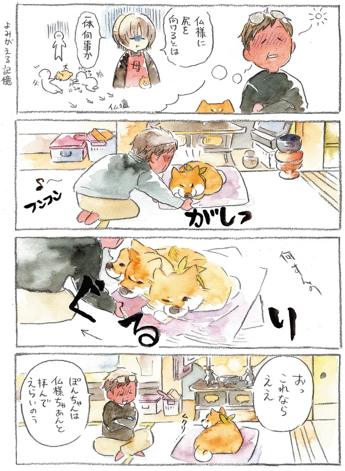 『柴犬ぽんちゃん、今日もわが道をゆく』（10）
