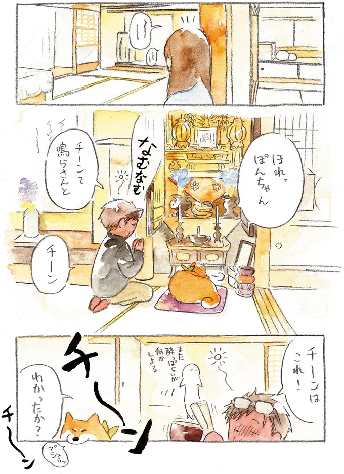 『柴犬ぽんちゃん、今日もわが道をゆく』（11）