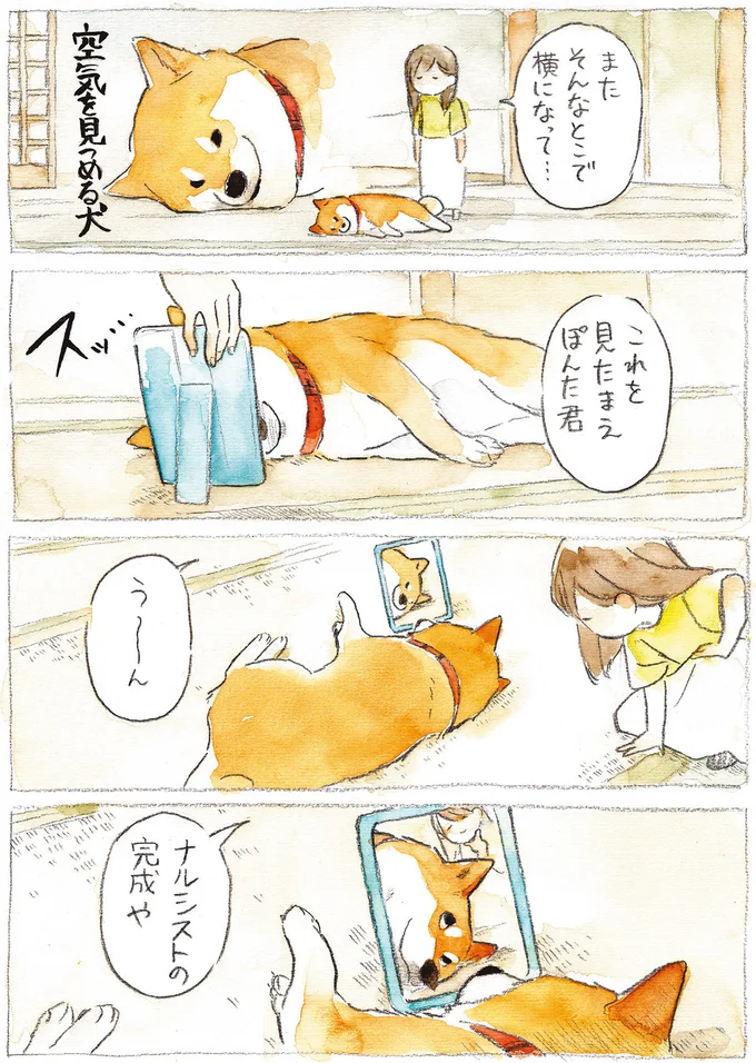 『柴犬ぽんちゃん、今日もわが道をゆく』（14）