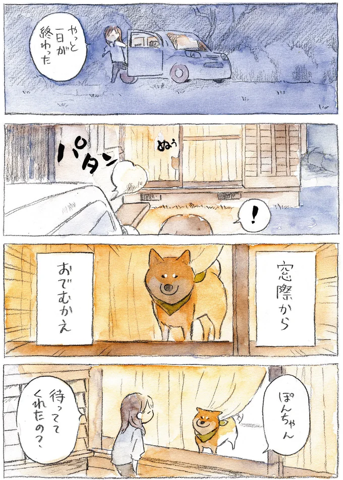 『柴犬ぽんちゃん、今日もわが道をゆく』（15）