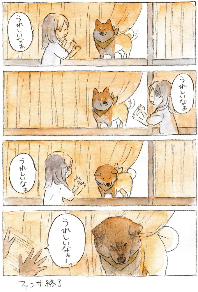 『柴犬ぽんちゃん、今日もわが道をゆく』（16）