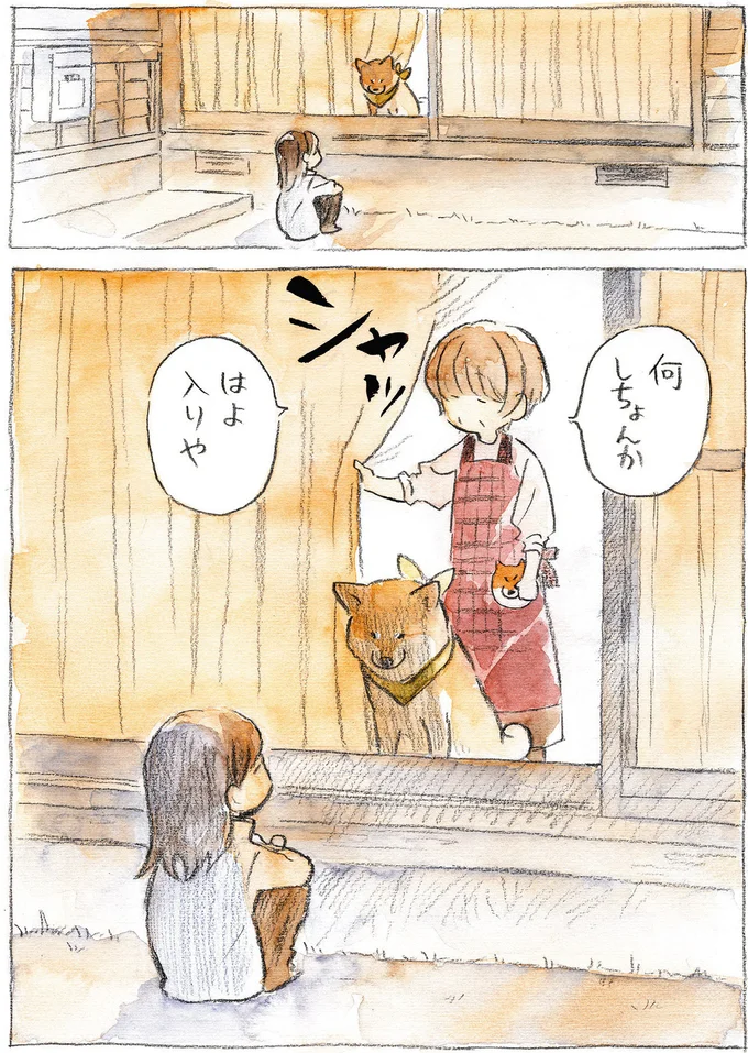『柴犬ぽんちゃん、今日もわが道をゆく』（17）
