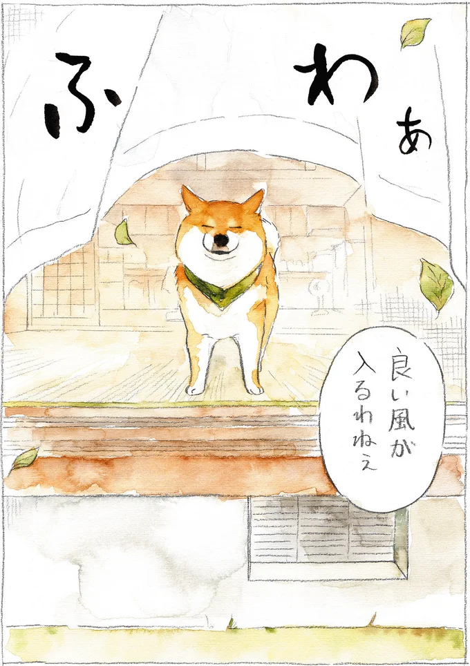 『柴犬ぽんちゃん、今日もわが道をゆく』（20）