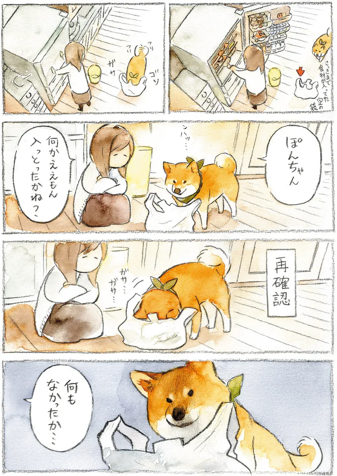 『柴犬ぽんちゃん、今日もわが道をゆく』（22）