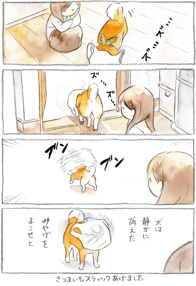 『柴犬ぽんちゃん、今日もわが道をゆく』（23）
