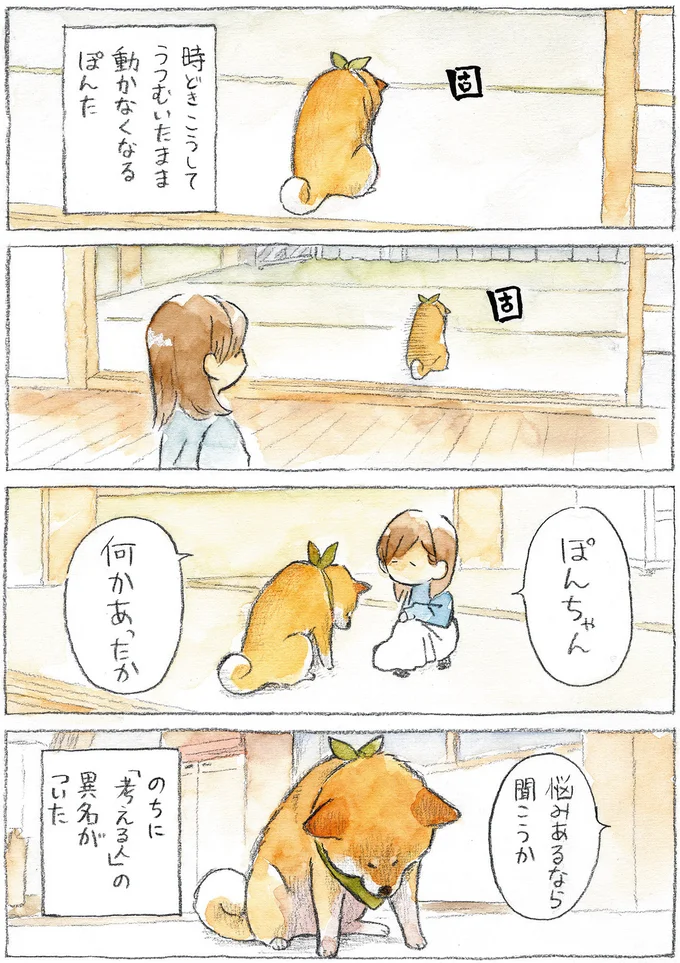 『柴犬ぽんちゃん、今日もわが道をゆく』（25）