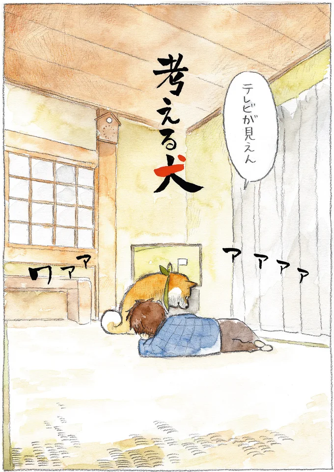 『柴犬ぽんちゃん、今日もわが道をゆく』（28）