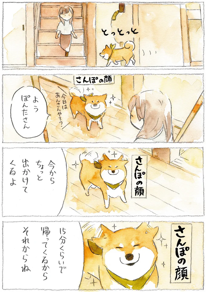 『柴犬ぽんちゃん、今日もわが道をゆく』（30）